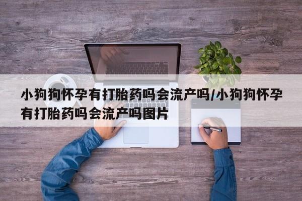 米非司酮片打胎药网店小狗狗怀孕有打胎药吗会流产吗/小狗狗怀孕有打胎药吗会流产吗图片