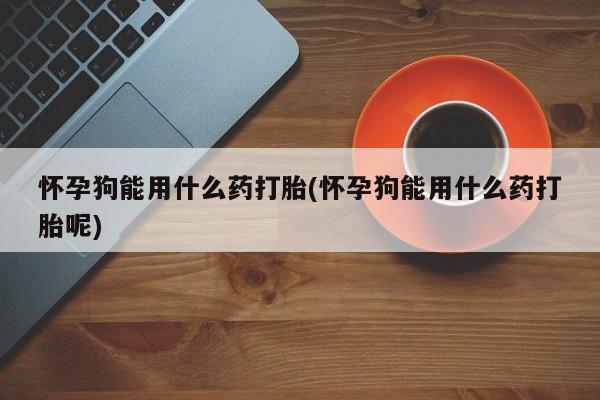 米非司酮片打胎药网店怀孕狗能用什么药打胎(怀孕狗能用什么药打胎呢)